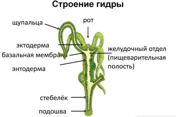 Кракен даркнет не работает